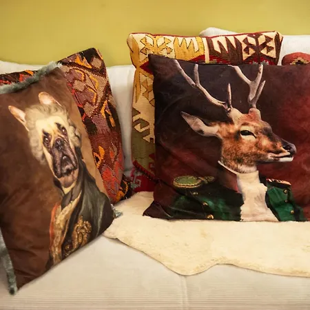 Apartment Friendly Vintage In The Downtown With Ac *