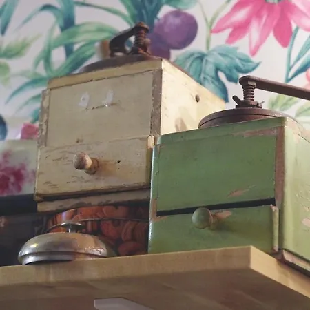 Apartamento Friendly Vintage In The Downtown With Ac *