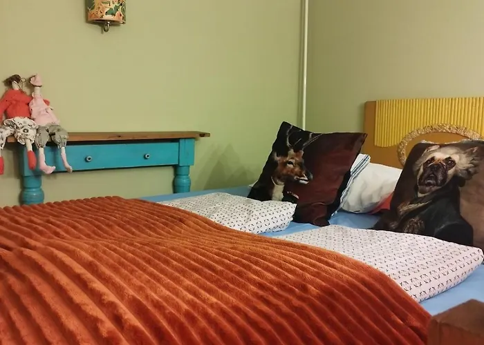 Daire Friendly Vintage In The Downtown With Ac Budapeşte